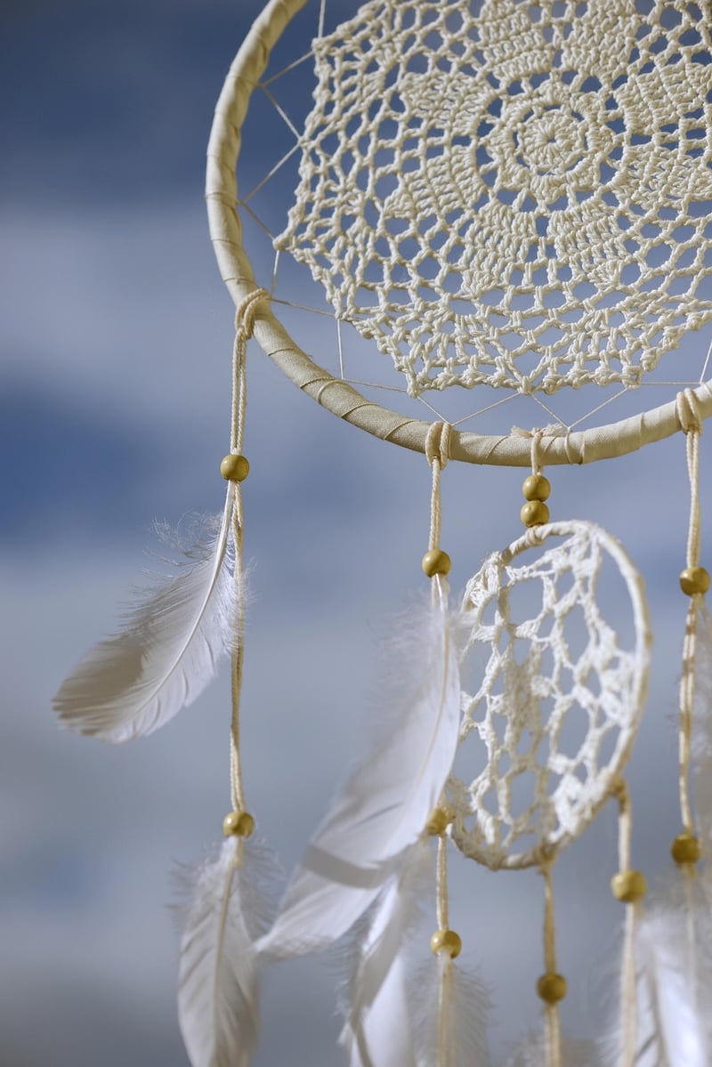 Macrame plant hanger